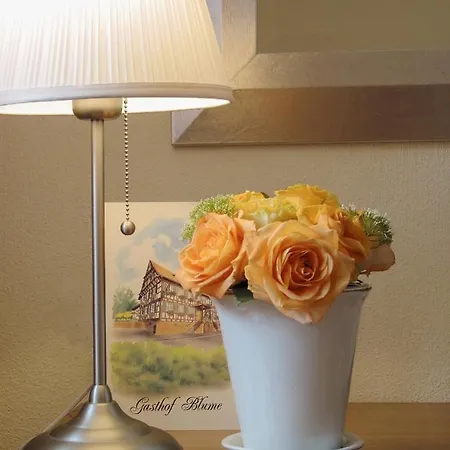 Blume & Restaurant 3* Offenburg