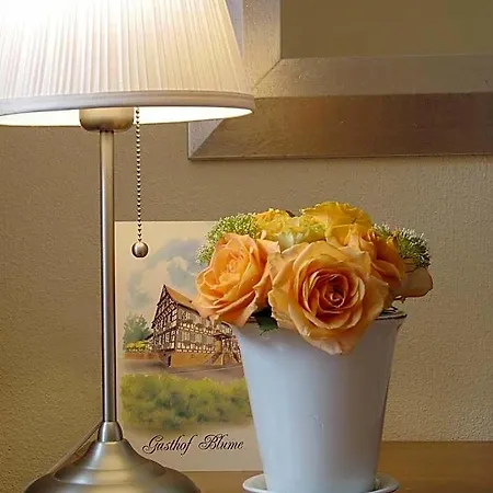 Guest house Blume & Restaurant Offenburg